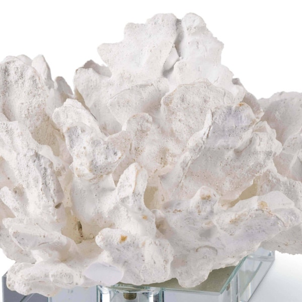Flower Coral On Crystal Base